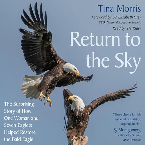 Return to the Sky by Tina Morris episode artwork