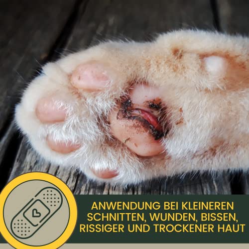 EMMA Lebertran-Zinksalbe für Hund, Katze & Pferd 250 ml – Zinkcreme bei Wunder Haut, Juckreiz & Mauke – wasserfeste Wund- & Pfotensalbe zur Hautpflege bei Ekzem & Liegeschwielen