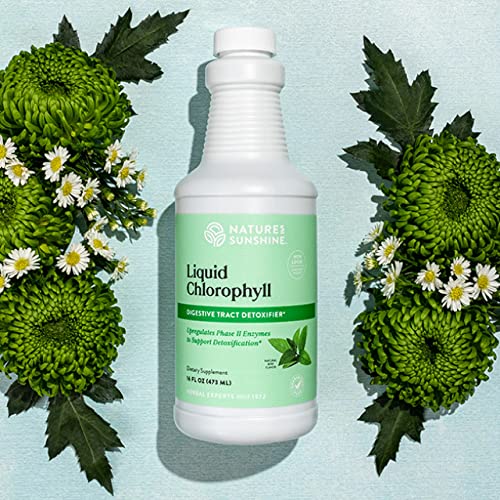 Nature's Sunshine Chlorophyll Liquid, 16 Fl Oz, Kosher | Fresh Mint Chlorophyllin Assists Detoxification And Provides Intestinal, Immune, And Digestive System Support #TOP1