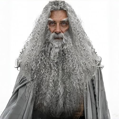 TINVSKQQKJ Gray Wizard Wig Beard Set Halloween Costume Wig Long Curly for Men Adults Cosplay Party Accessories (Gray Funny Father Time)