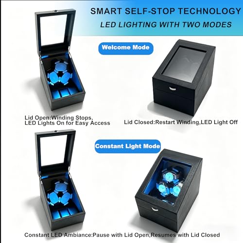 Image of Watch Winder + Watch Storage Box with Japanese Quiet Motor