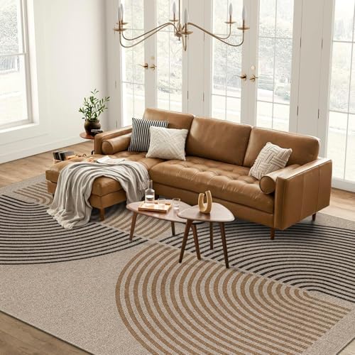 JaeMoose Outdoor & Indoor moderner, einfacher Teppich, Terrassenteppich, waschbarer für den Eingangsbereich, Bauernhaus, rutschfeste Fußmatte für den Innenbereich (Natur, 160 x 230 cm)