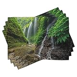 ABAKUHAUS Wasserfall Platzmatten, Wasserfallseiten-Tal in Indonesien mit südostasiatischen Büschen über Hügeln, Tiscjdeco aus Farbfesten Stoff für das Esszimmer und Küch, Grün braun