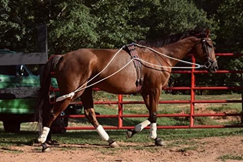 Leaders Training or Lungeing Aid for Horse