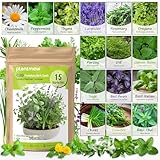 Herb Seeds 15-Pack – 4,500+ Non-GMO Heirloom Seeds for Planting – Indoor & Outdoor Herb Garden Kit with Basil, Cilantro, Rosemary, Thyme, Dill, Sage – Medicinal & Culinary Herb Seeds Variety Pack