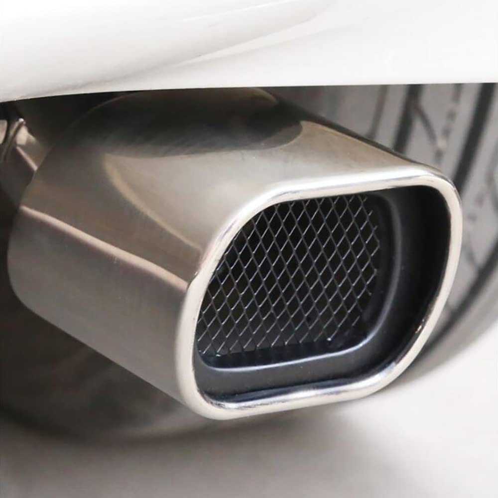 Ovale Car Styling In Acciaio Inox Coda Posteriore Gola Punta Del Tubo Terminale Scarico