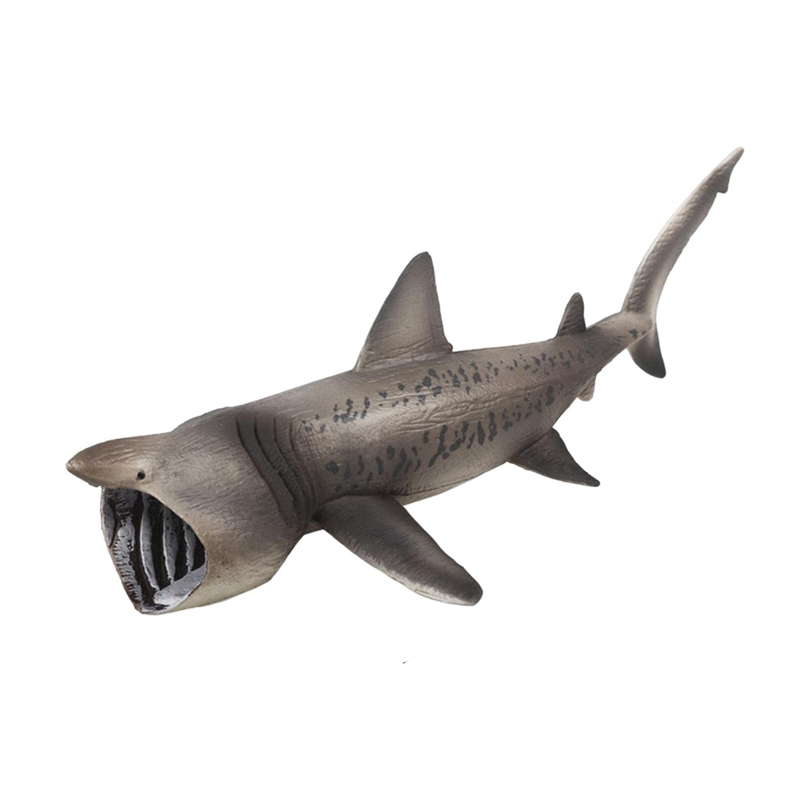 SM SunniMix Basking sharks Model Model Collection Playset Marine Figures Toy for Home Decorations