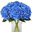 Deep Blue Hydrangea Flowers