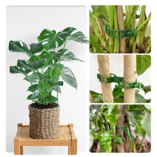Garden Plant Support Stake,Angelox 8 Pack Half Round Metal Garden Stakes Plant Support Cage Ring With Garden Tie And Plant Clip For Rose, Tomato Plants And Vine Plants (10" W X 16" H) #TOP5