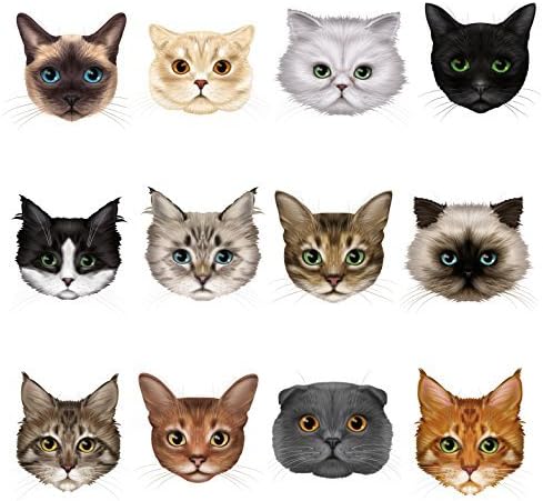 12 Cute Cat Face Window Clings 12 Different Breeds - Non-adhesive Stickers - Quickly Decorate and Brighten your Windows
