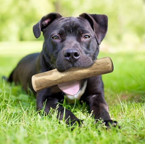 Fuzzl Kaffeeholz Kausticks 2 Stück für Kleine Hunde und Welpen