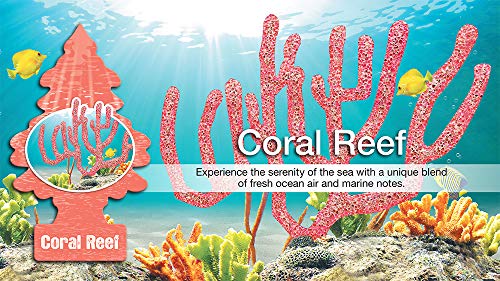 Image of Little Trees Car Air Freshener - Hanging Tree Provides Long Lasting Scent for Auto or Home - Coral Reef, 24 Count, (4) 6-Packs