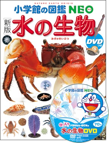 小学館の図鑑NEO 新版 水の生物 DVDつきの表紙