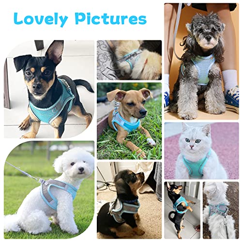 Petpubgnzs Soft Small Dog Harness And Leash Set Step In Air Mesh Puppy Harness Leash Easy Walk Dog Harness Vest Adjustable Reflective No Pull Dog Harnesses For Small Dogs Cats (Blue Grey,Xs) #TOP3