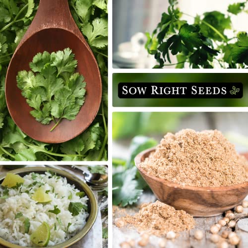 Sow Right Seeds - Cilantro Seed - Non-Gmo Heirloom Seeds With Full Instructions For Planting An Easy To Grow Herb Garden, Indoor Or Outdoor; Great Gift (1 Packet) #TOP3