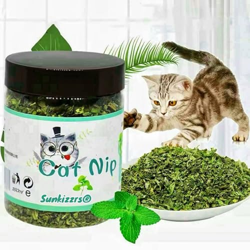Image of Sunkizzrs Natural & Organic Catnip Jar (160ml) for Cats & Kitten (Non-Addictive & Safe) - Catmint Leaves Used on Toys and Scratchpads - Stimulate Playful Behaviour for Cats & Kittens