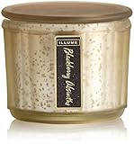 Illume BlackBerry Lustre Jar, 1 EA