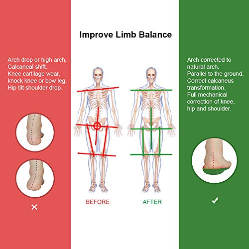Festnight Inserções esportivas universais Palmilhas resistentes a choques com suporte de arco Palmil