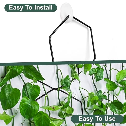 Recopilación y reviews de Enrejado para trepadoras exterior comprados en linea. 6 Imagen adicional