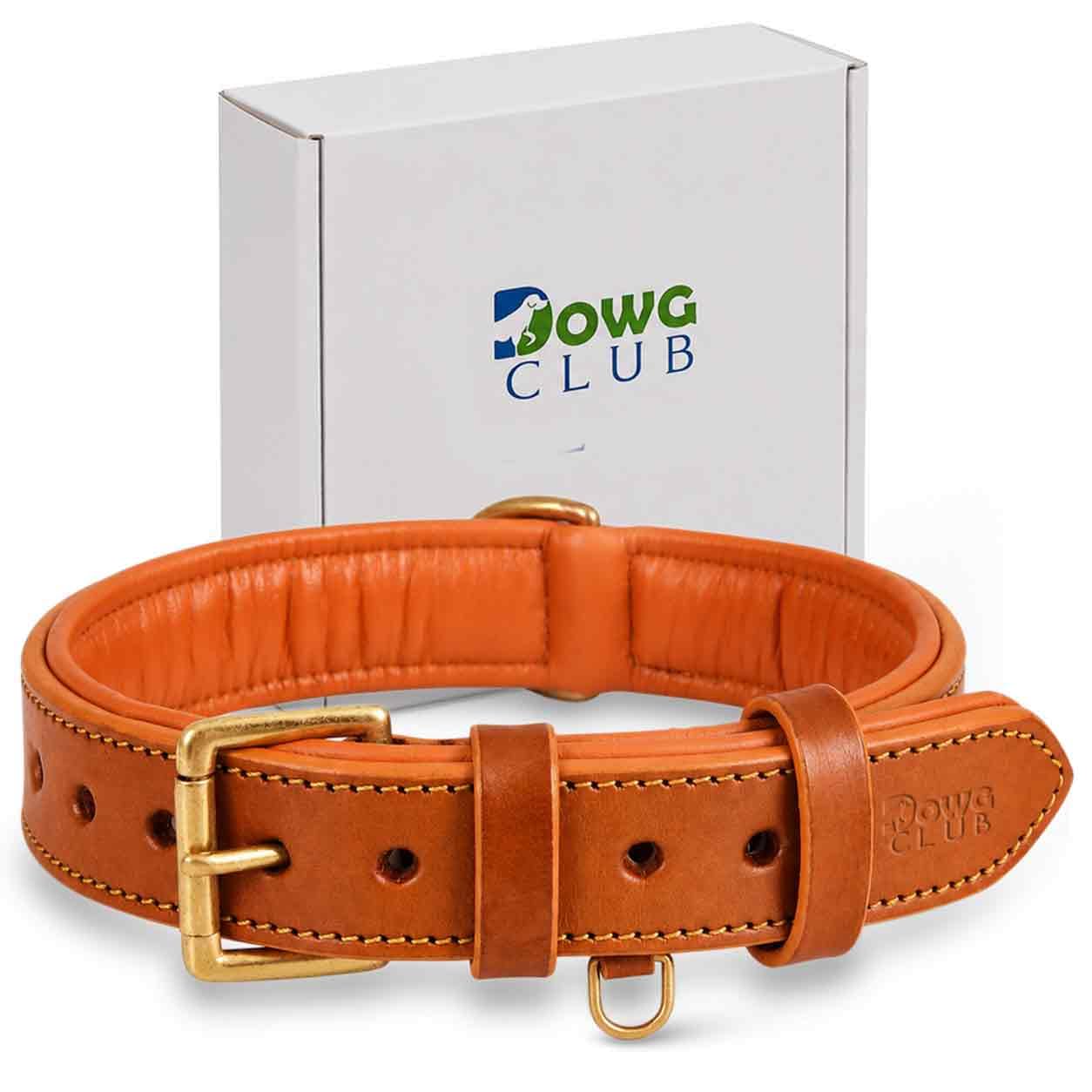 DowgClub Genuine Leather Dog Collar, Orange, Large, Brass Buckle, Padded