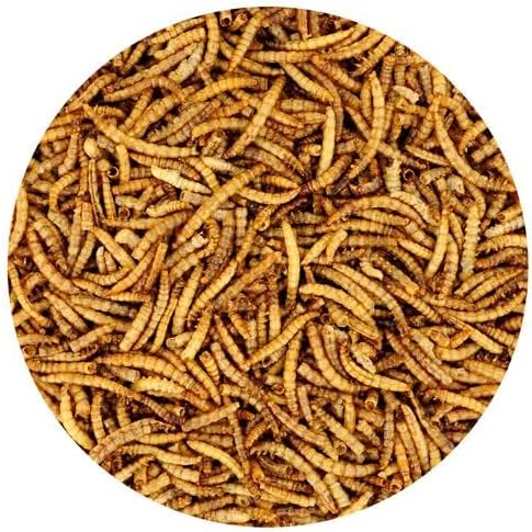 Miniatura 3 de Gusanos secos de la harina  100% natural, sin OMG, alto contenido de proteínas, a granel para pollo, gallina ponedora, pollo, pájaro silvestre,