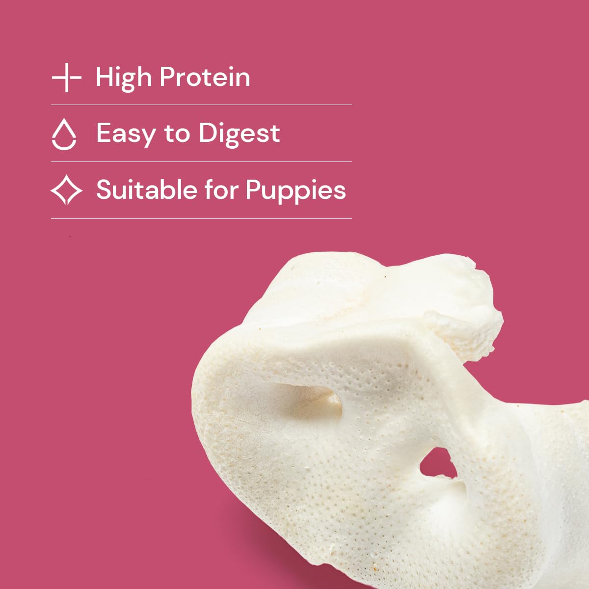 Natural Treats Large Puffed Pig Snouts (10pcs) Air Dried High Protein Tasty & Healthy Dog Treats - Image 2