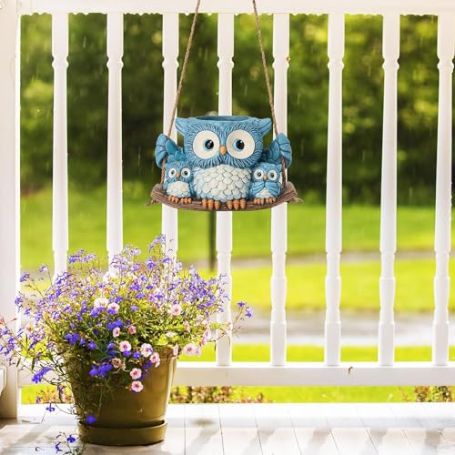 Vase créatif chouette en résine avec drainage mignon et durable