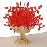 Reines Papierprodukt, das ohne Verwendung von Plastik- oder Befestigungsteilen auskommt. Verpackt in staubdichtem Blister.