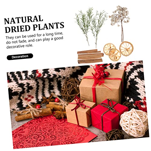 Material de Flores Secas para Manualidades y Decoración miniatura 2