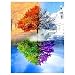 Crafts Graphy Paint with Diamonds Kits for Adults Full Drill - Season Trees, Large Size 16 x 20 Inches       
