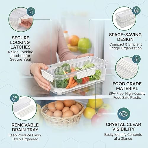 Image of Divided Fridge Storage Boxes With Serving Veggie Tray with Lid and Handle, Fridge Organizer with Removable Compartment, Fridge Storage Containers (Fridge Container)