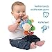 Playgro Sonajero Multiactividades Caballo, Desde los 3 Meses, Sin BPA, Playgro Activity...