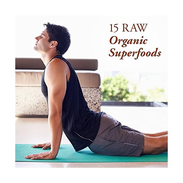 Garden-of-Life-Fiber-Supplement-Raw-Organic-Fiber-Powder-30-Servings-15-Organic-Superfoods-Probiotics-and-Omega-3-ALA-4g-Soluble-Fiber-5g-Insoluble-Fiber-for-Regularity-Psyllium-Free-Fiber Garden Of Life Raw Organic Superfood Fiber for Constipation Relief, 1.77oz (803g) Powder