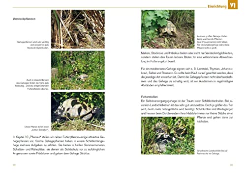 Freigehege für Europäische Landschildkröten: Ein Leitfaden für eine naturnahe Haltung im eigenen Garten (Ratgeber zur Haltung Europäischer Landschildkröten)