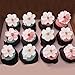 40 PCS Edible Cherry Blossoms Cupcake Toppers Edible Cherry Blossoms Flowers Cake Decorations Wafer Paper Flowers Cupcake Topper for Baby Shower Kids Birthday Party Decorations Supplies Colorful