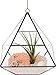 Mindful Design Glass Terrarium - Geometric Diamond Desktop Garden Planter by (Black)