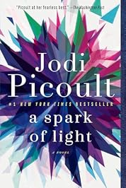 A Spark of Light: A Novel