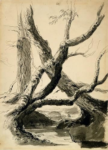 Impression toile croquis de troncs d'arbres art mural classique Thomas Cole grand format