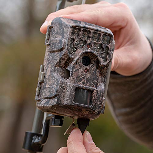 Moultrie Trail Camera Reviews Buying Guide (2023)