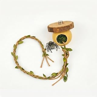 Magnetic Jumping Spider Hide — Hanging Moss Cave Hideout with Cork Bark Lid & Braided Hemp Vine, Tool-Free Magnet Mount for Acrylic & Glass Terrariums, Jumping Spider Accessories Enclosure Decor