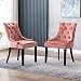 Produktbild JOYLDIAS 2er Set Esszimmerstuhl aus Stoff Samt Vintage Retro Sessel Polstersessel Clubsessel Loungesessel (Rosa)