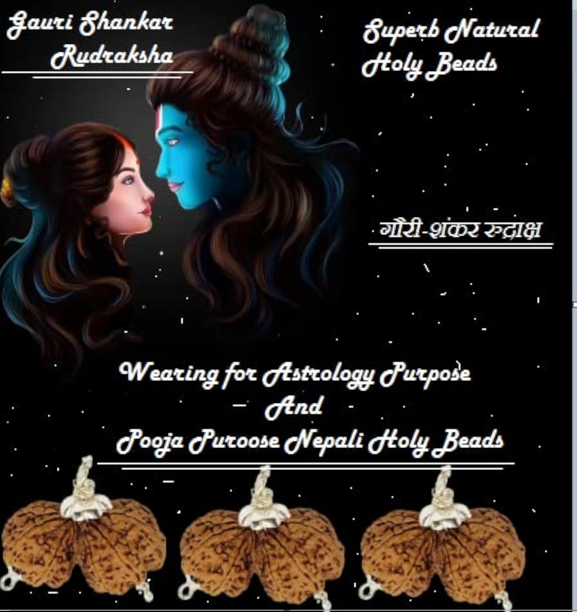 Gauri Shankar Rudraksha from Nepal for Astrology Purpose
