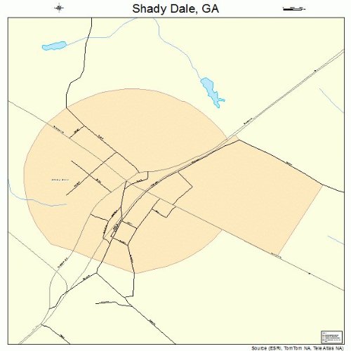 Large Street & Road Map of Shady Dale, GA Printed poster size