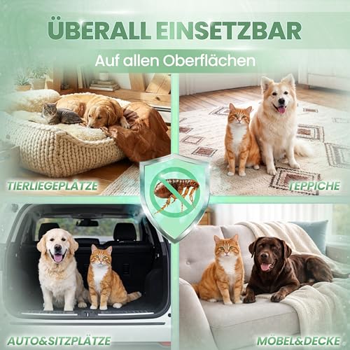 KRAFTKÖNIG Flohspray für Wohnung und Möbel 500 ml – Hochwirksames Umgebungsspray für Hunde & Katzen – sofort einsatzbereit mit Langzeitschutz gegen Flöhe, Made in Germany