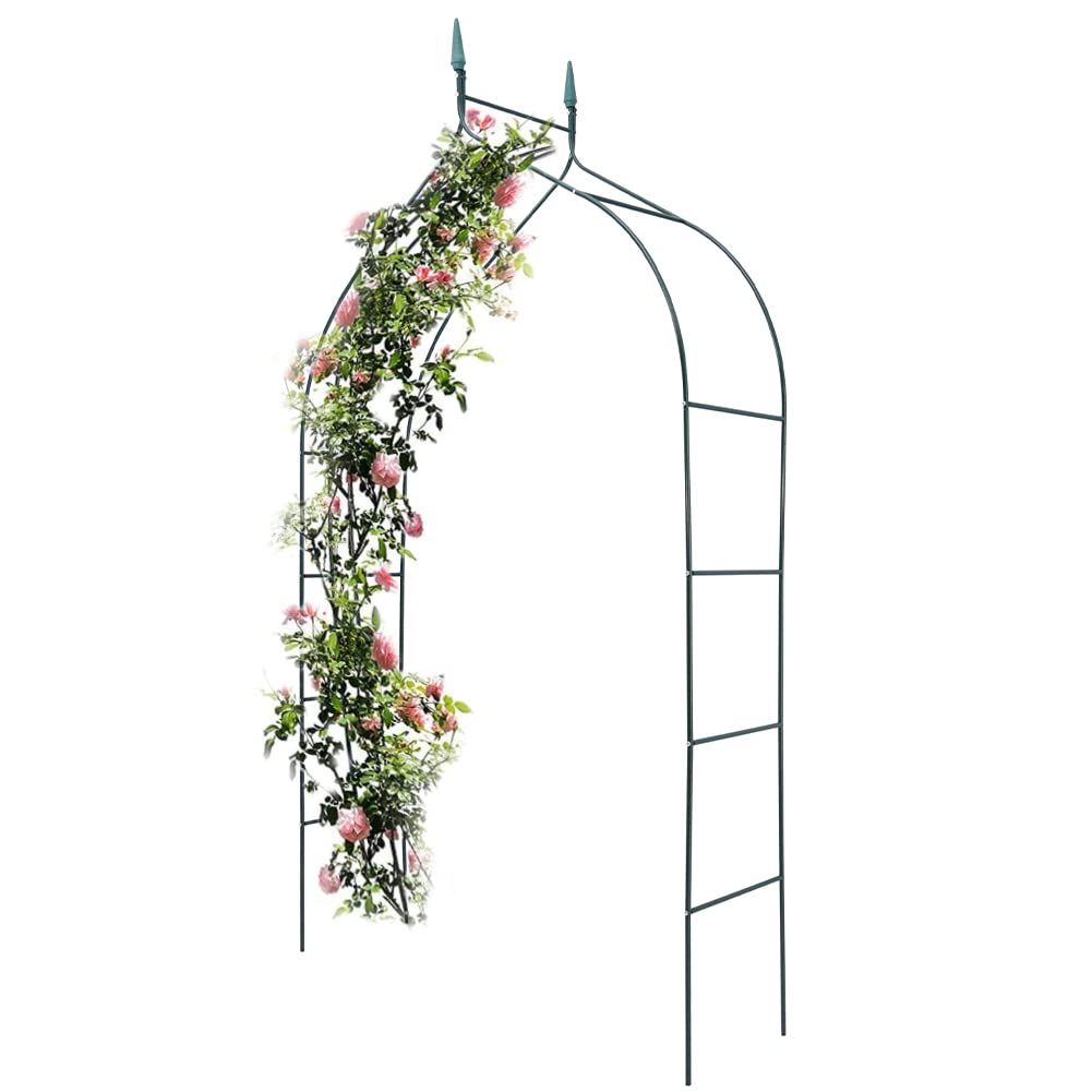 BAKAJI Arco da Giardino Supporto per Rose Piante Rampicanti in Metallo 140-170 x 38 x 240H cm Colore Verde Scuro