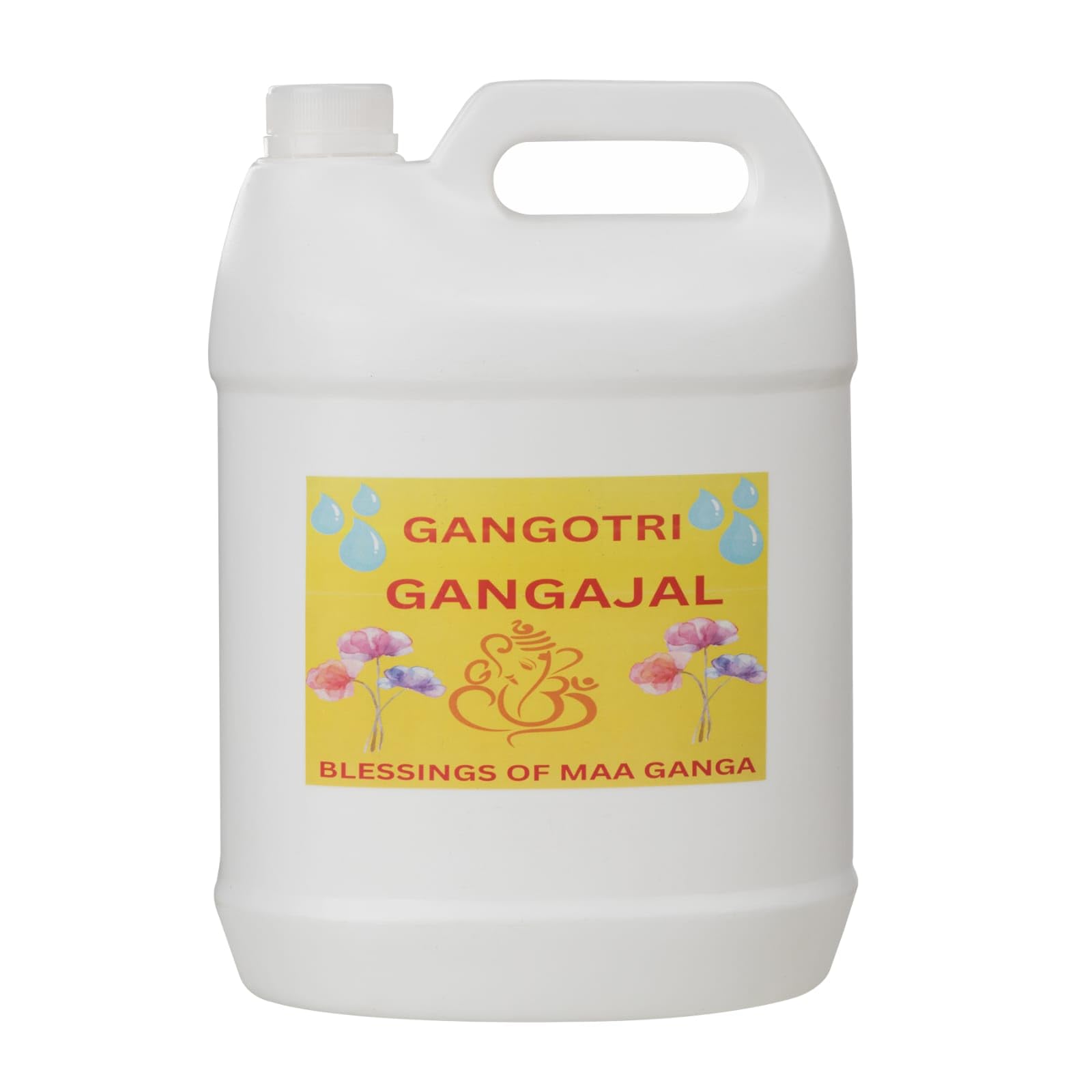 Holy Gangajal From Gangotri (3L) | Gangajal The Purest Holy Jal Directly from Gangotri Valley | gangajal for pooja (container may vary) (B0D2LFBG2M) Amazon Price History, Amazon Price Tracker