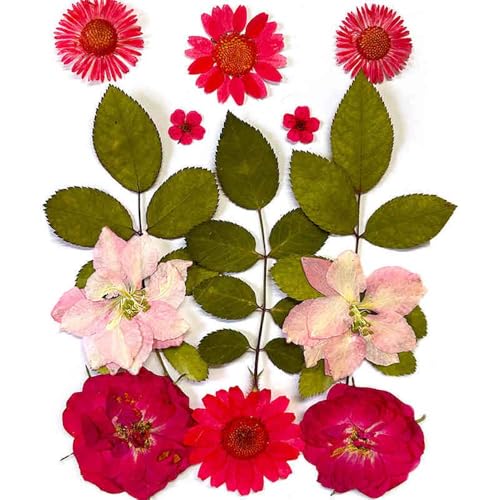 Flores Secas Prensadas Reales para Moldes de Resina miniatura 4