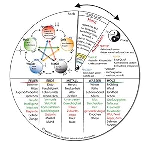 TCM-Grundlagen Drehscheibe