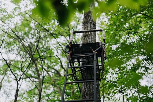 Image of MuddyMuddy
