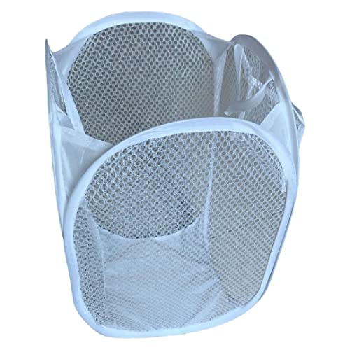 Plus Nao(vXiI) h[oXPbg 󂩂 ܂ t e bV  󕨓 E߂ RpNg[  - zCg